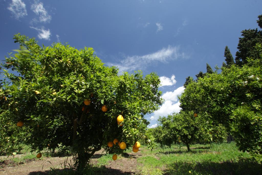 Agriturismo Sarrabus San Priamo Luaran gambar